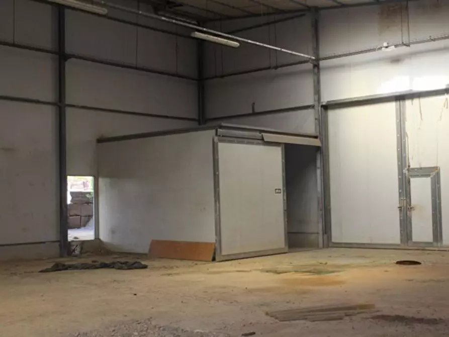 Immagine 13 di Capannone industriale in vendita  in Via Enrico Mattei, N. 91 a Asciano