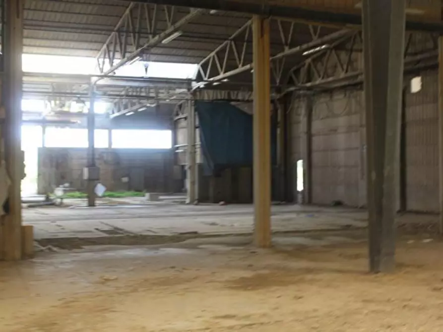 Immagine 15 di Capannone industriale in vendita  in Via Enrico Mattei, N. 91 a Asciano