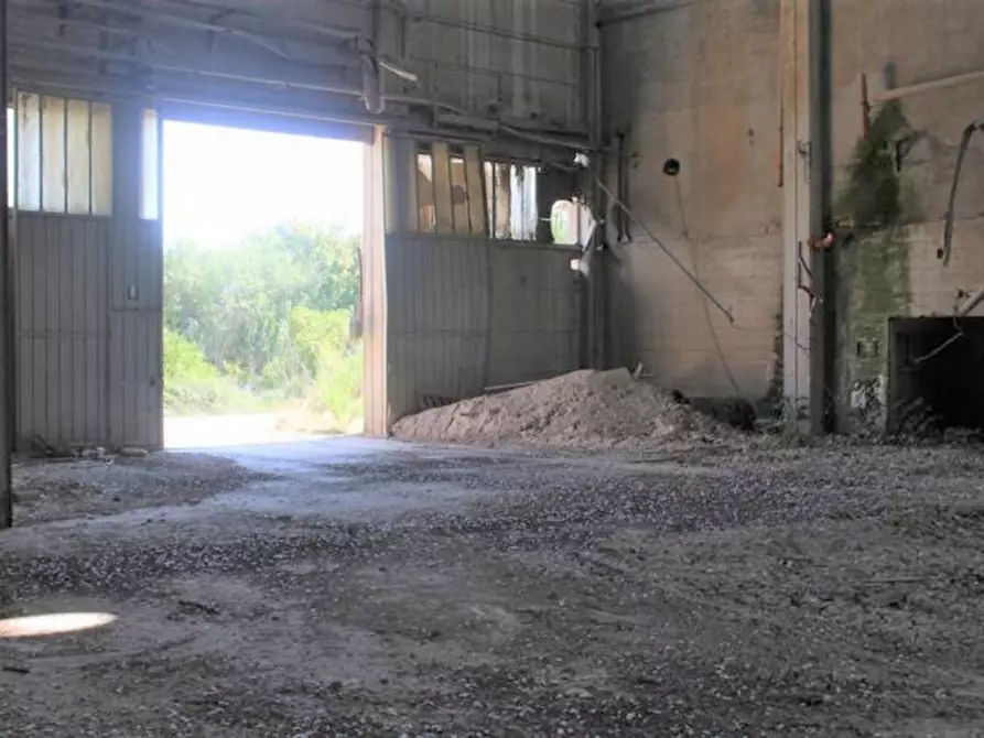 Immagine 26 di Capannone industriale in vendita  in Via Enrico Mattei, N. 91 a Asciano