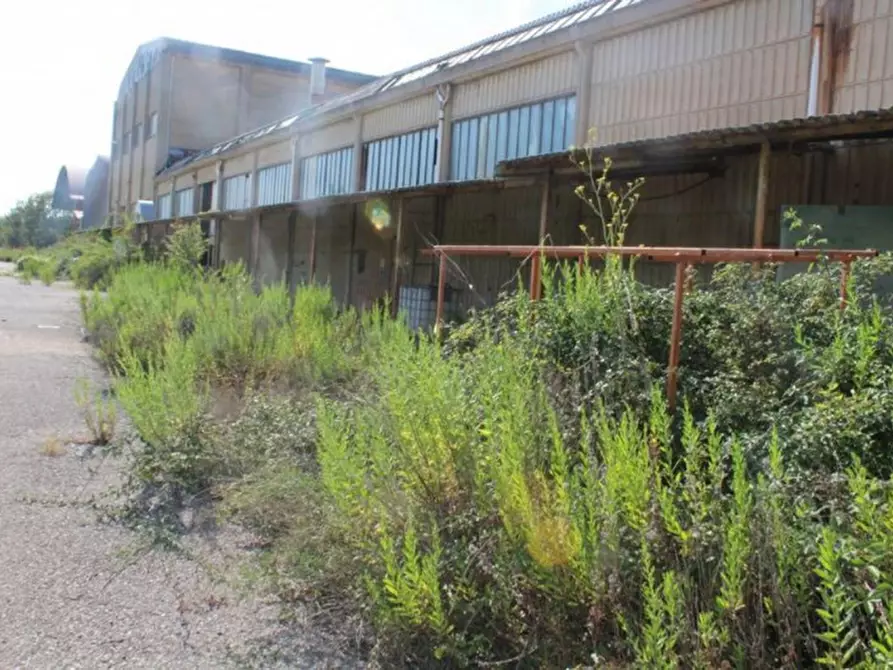 Immagine 28 di Capannone industriale in vendita  in Via Enrico Mattei, N. 91 a Asciano