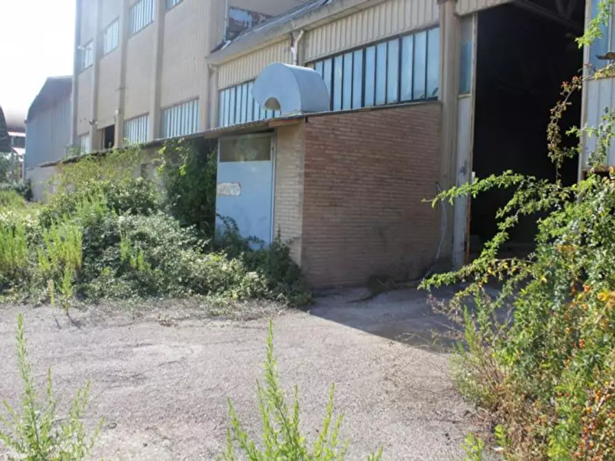 Immagine 29 di Capannone industriale in vendita  in Via Enrico Mattei, N. 91 a Asciano