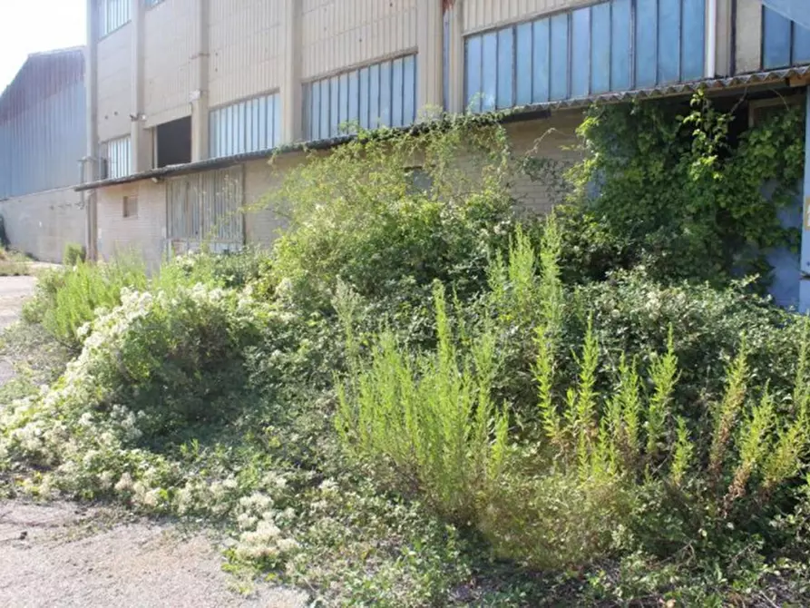 Immagine 30 di Capannone industriale in vendita  in Via Enrico Mattei, N. 91 a Asciano