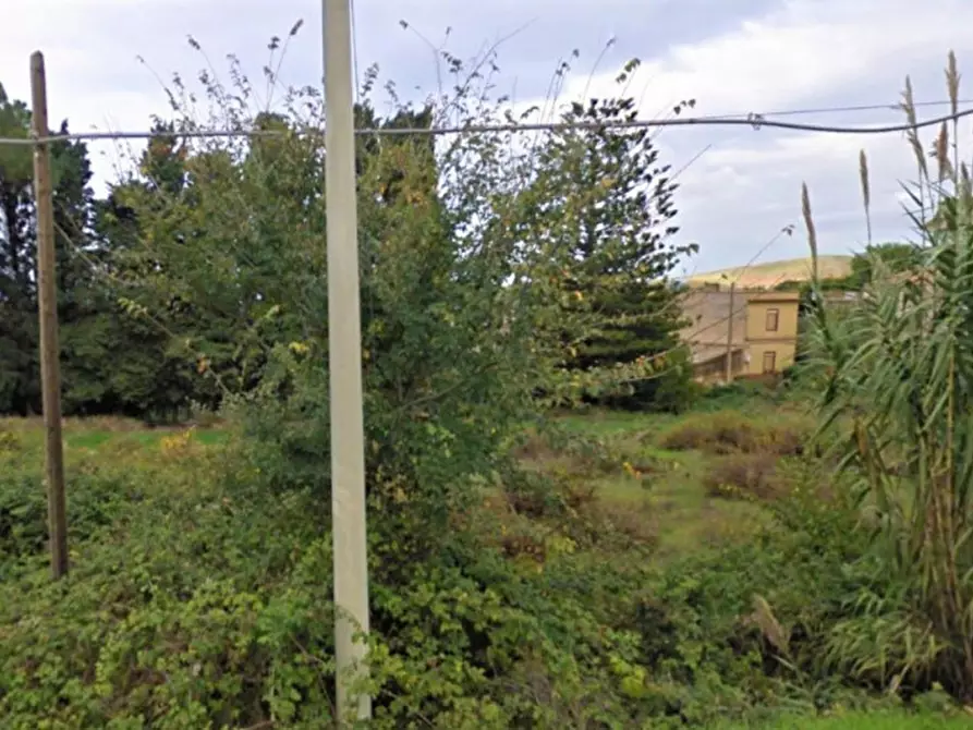 Immagine 4 di Terreno in vendita  in Contrada Sinagia, N. snc a Salemi