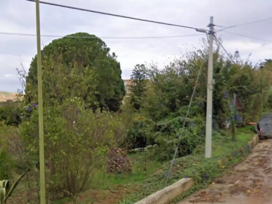Immagine 5 di Terreno in vendita  in Contrada Sinagia, N. snc a Salemi