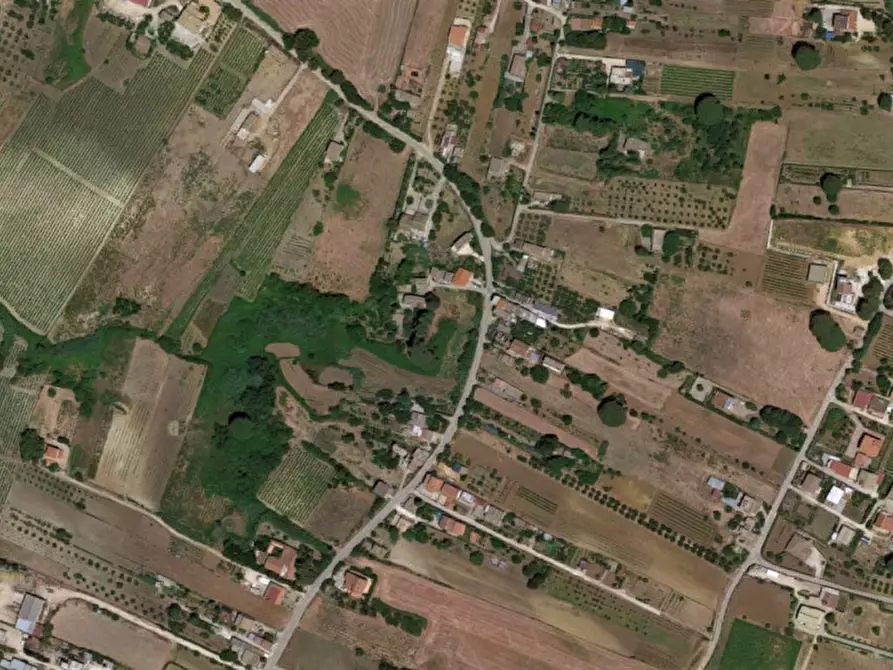 Immagine 16 di Terreno in vendita  in Contrada Sinagia, N. snc a Salemi