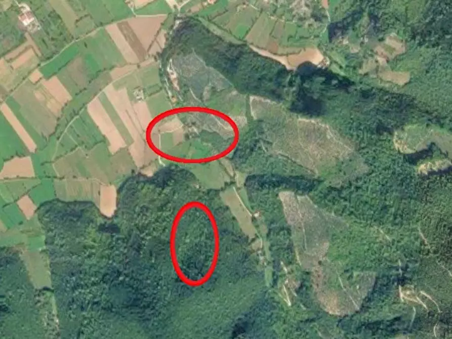 Immagine 1 di Magazzino in vendita  in Località Nasciolo a Arrone