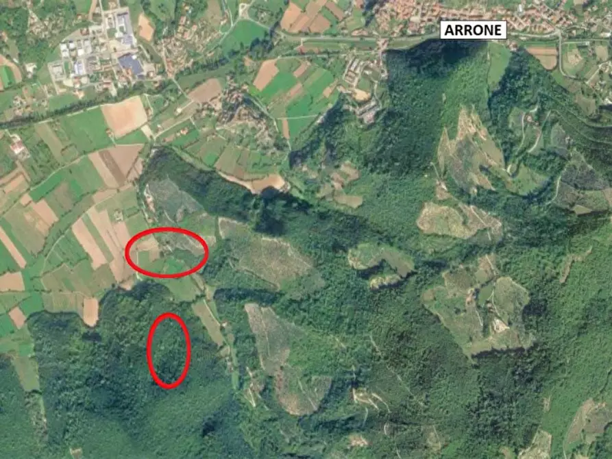 Immagine 2 di Magazzino in vendita  in Località Nasciolo a Arrone