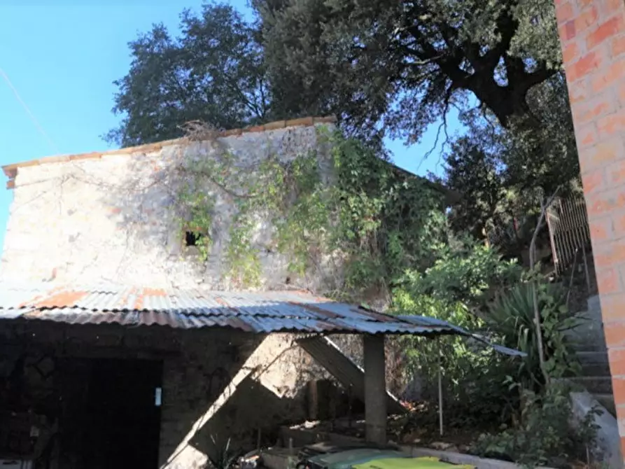 Immagine 5 di Magazzino in vendita  in Località Nasciolo a Arrone