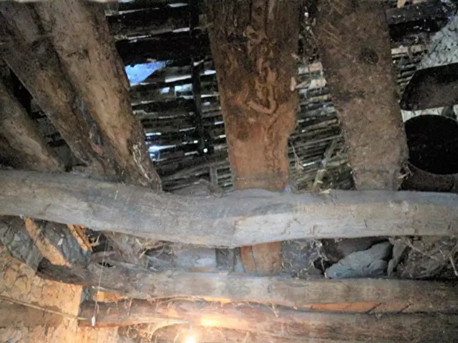 Immagine 7 di Magazzino in vendita  in Località Nasciolo a Arrone