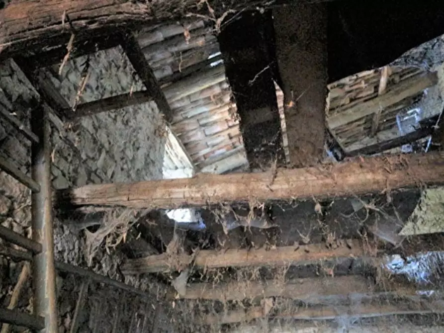 Immagine 8 di Magazzino in vendita  in Località Nasciolo a Arrone