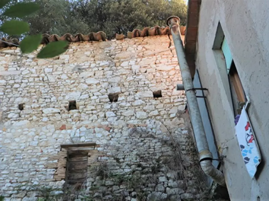 Immagine 14 di Magazzino in vendita  in Località Nasciolo a Arrone