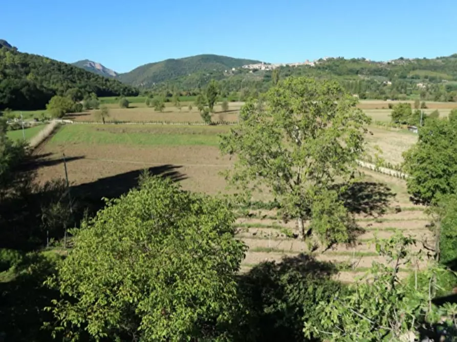 Immagine 15 di Magazzino in vendita  in Località Nasciolo a Arrone