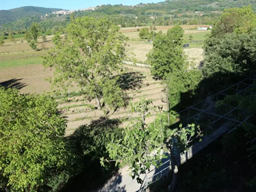 Immagine 16 di Magazzino in vendita  in Località Nasciolo a Arrone