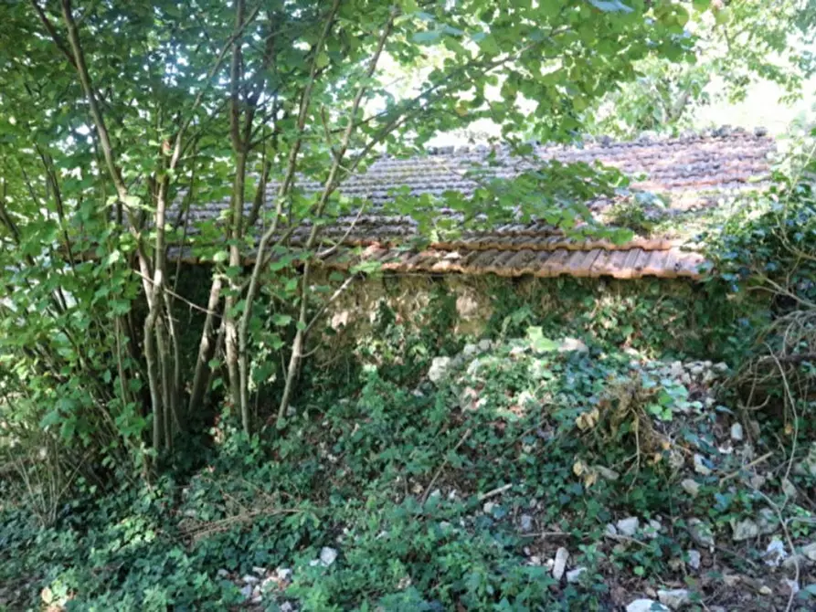 Immagine 19 di Magazzino in vendita  in Località Nasciolo a Arrone