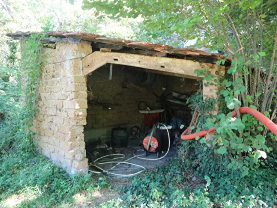 Immagine 20 di Magazzino in vendita  in Località Nasciolo a Arrone