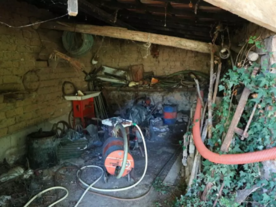 Immagine 21 di Magazzino in vendita  in Località Nasciolo a Arrone