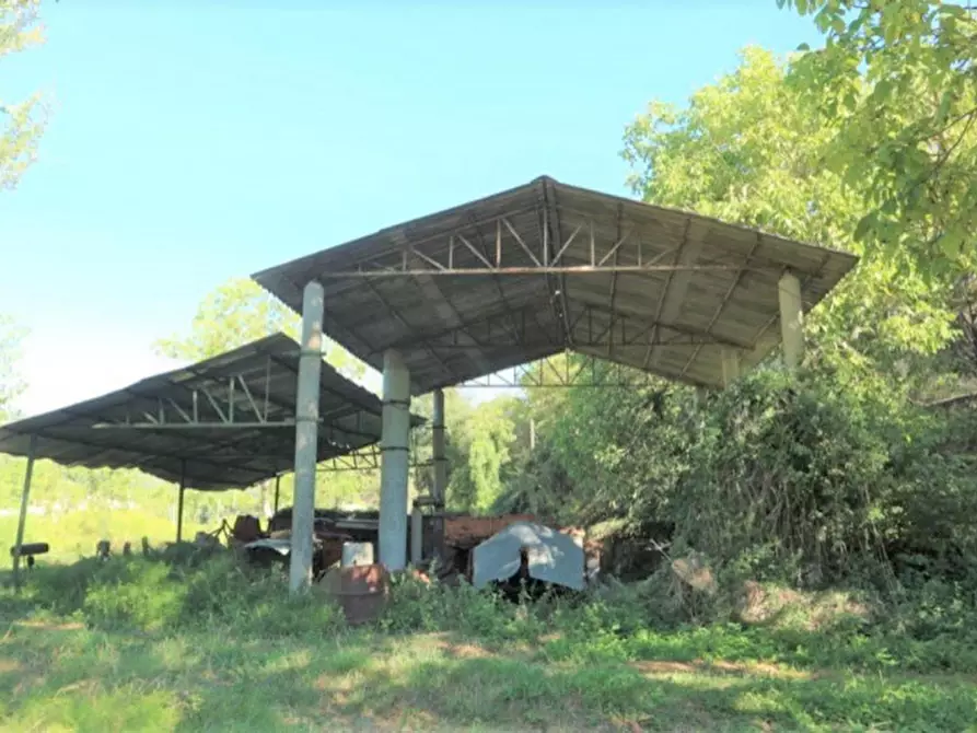 Immagine 24 di Magazzino in vendita  in Località Nasciolo a Arrone