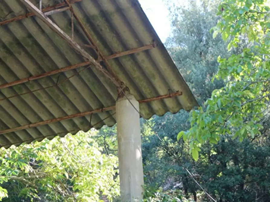 Immagine 26 di Magazzino in vendita  in Località Nasciolo a Arrone