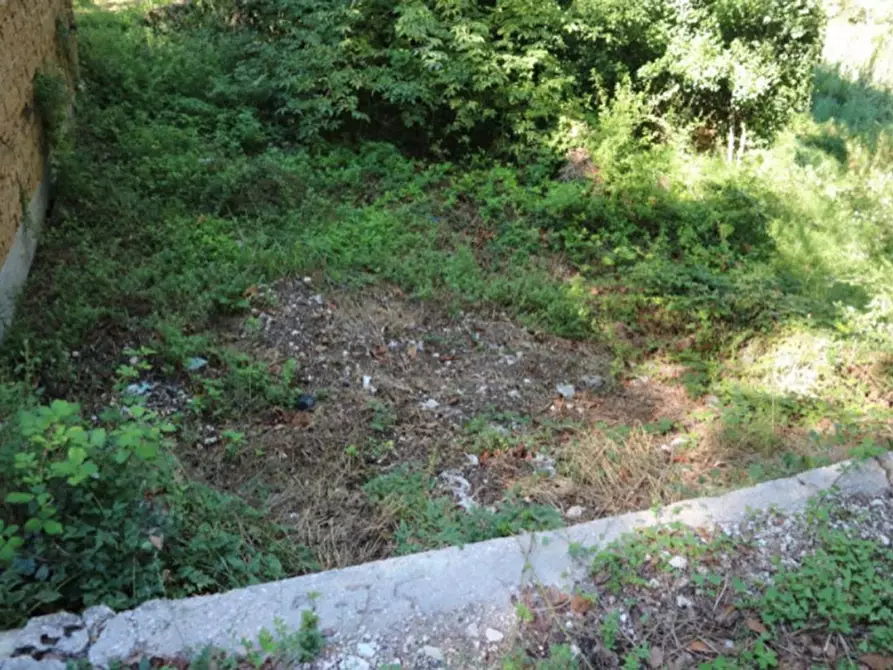 Immagine 28 di Magazzino in vendita  in Località Nasciolo a Arrone