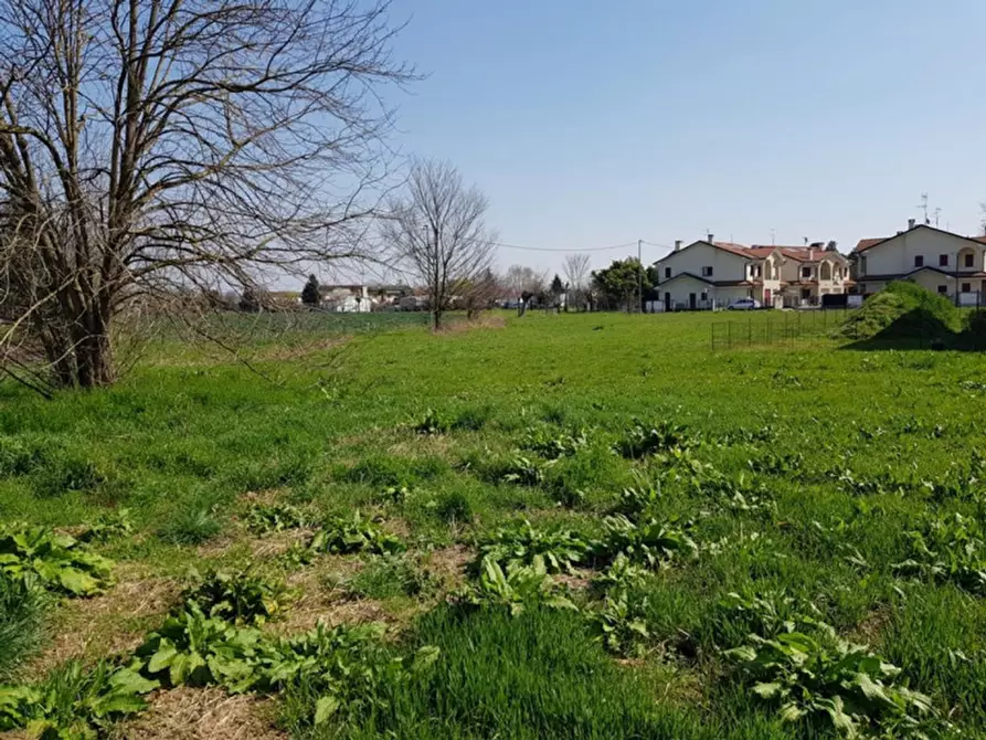 Immagine 7 di Terreno in vendita  in Via Orione, N. snc a Borgo Veneto