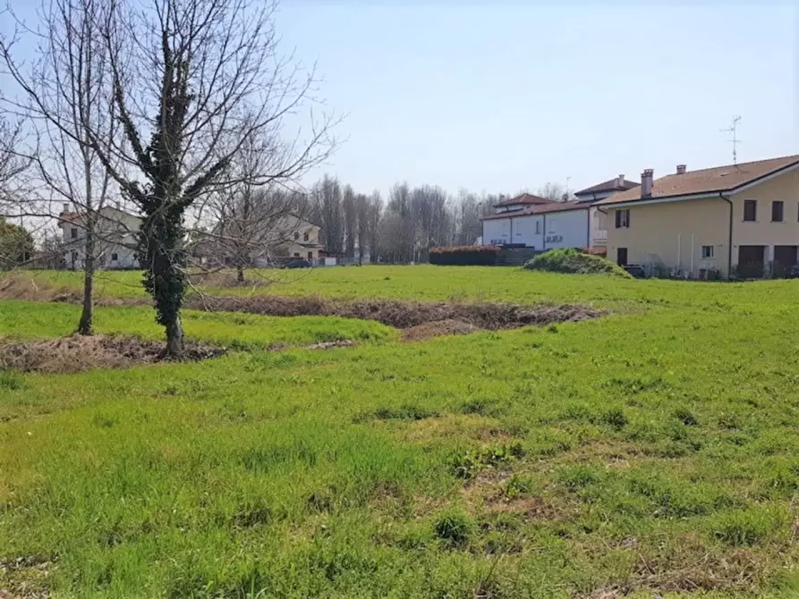 Immagine 9 di Terreno in vendita  in Via Orione, N. snc a Borgo Veneto