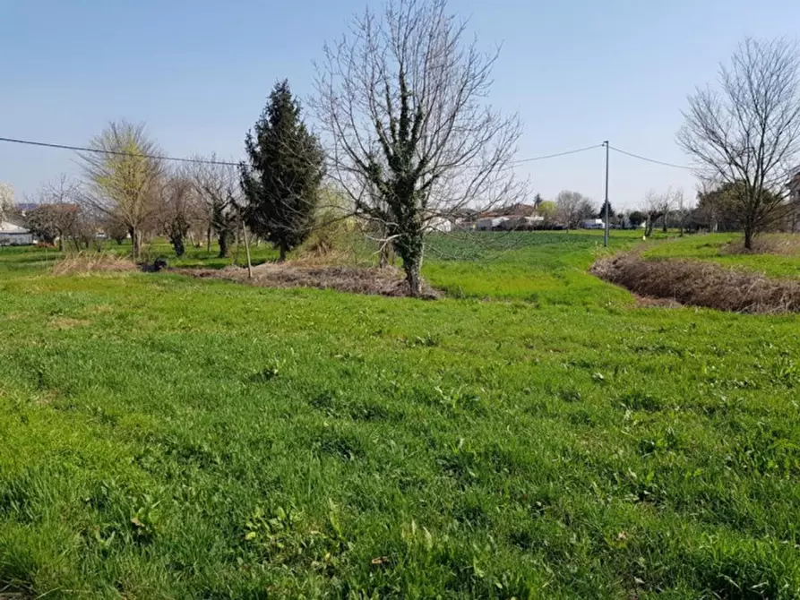 Immagine 11 di Terreno in vendita  in Via Orione, N. snc a Borgo Veneto