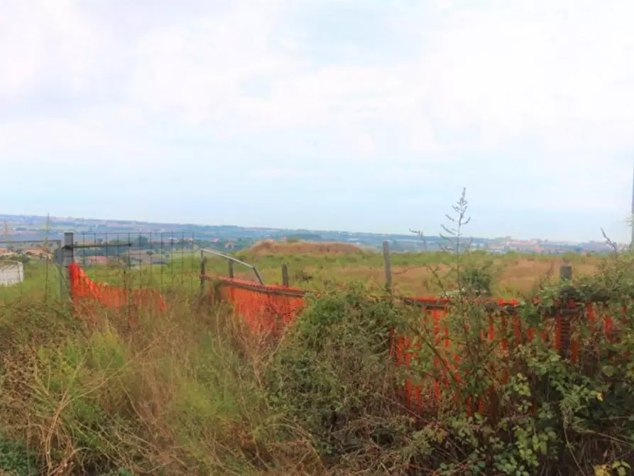 Immagine 10 di Terreno in vendita  in Contrada Torrenova, N. snc a Potenza Picena