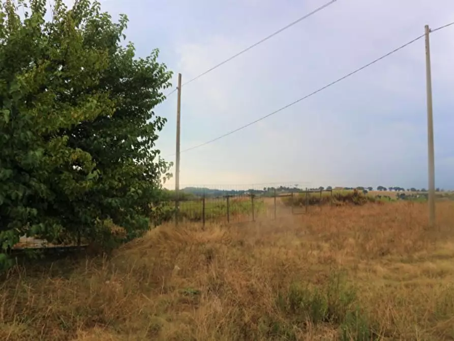 Immagine 28 di Terreno in vendita  in Contrada Torrenova, N. snc a Potenza Picena
