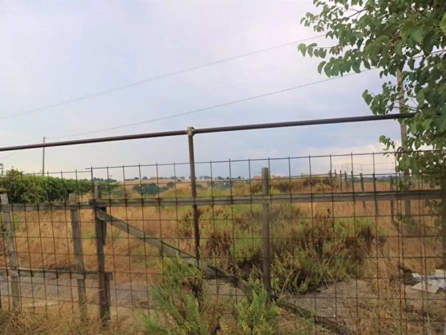 Immagine 29 di Terreno in vendita  in Contrada Torrenova, N. snc a Potenza Picena