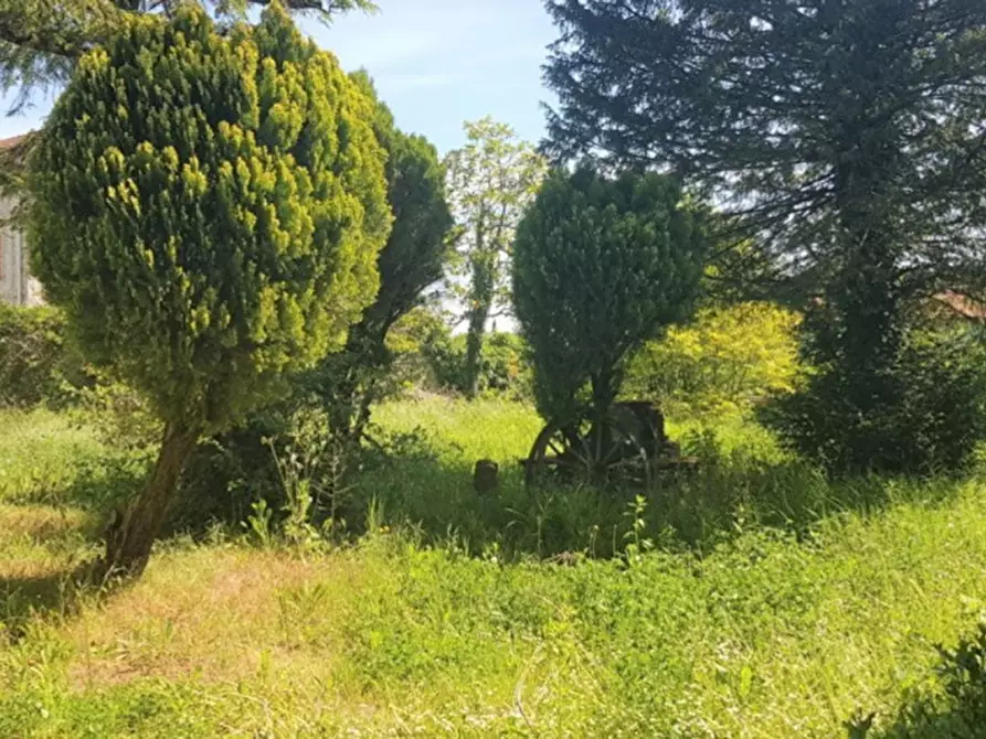 Immagine 9 di Appartamento in vendita  in Via Boccaccio, N. 8 a Morsasco