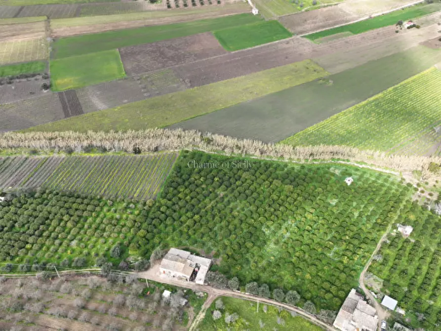 Immagine 4 di Casa indipendente in vendita  in Contrada Bonivini a Noto