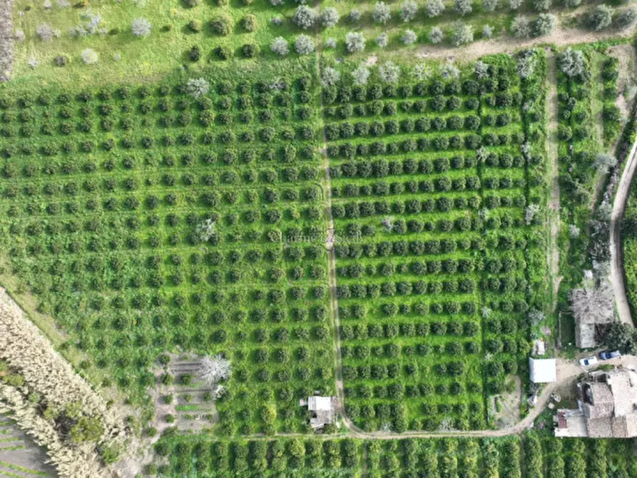 Immagine 10 di Casa indipendente in vendita  in Contrada Bonivini a Noto
