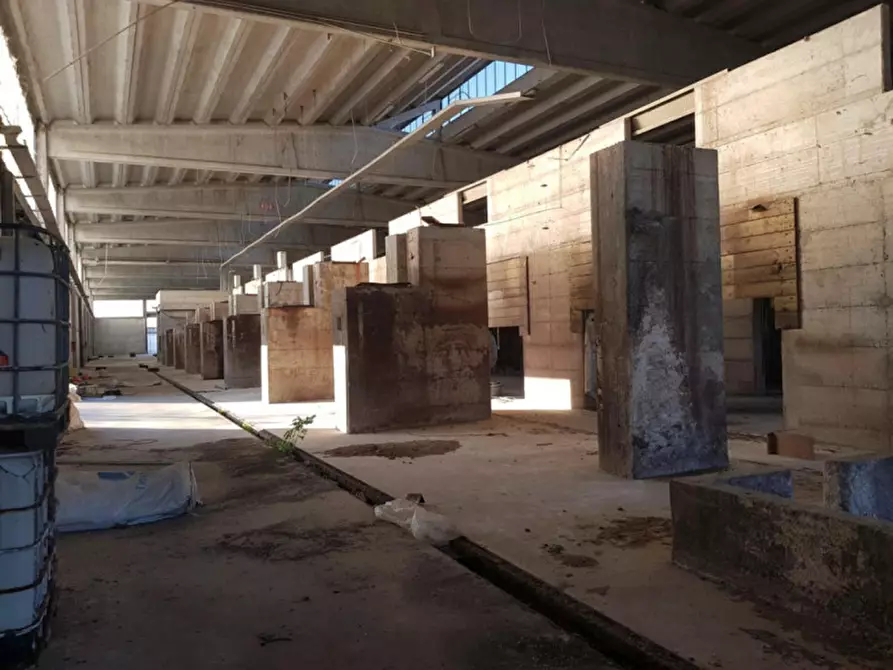 Immagine 7 di Capannone industriale in vendita  in Frazione Ca' Bianca a Somaglia