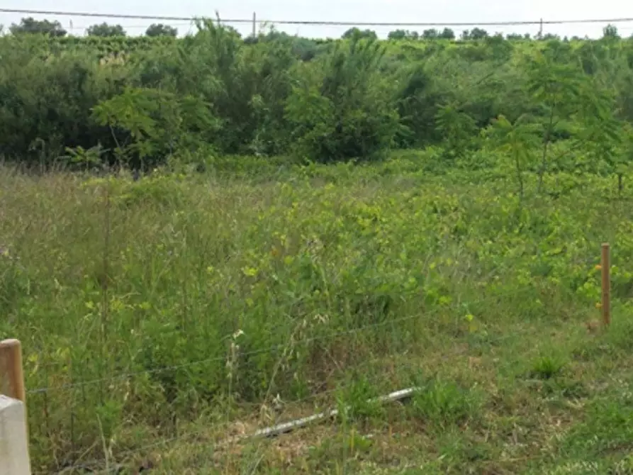 Immagine 3 di Terreno in vendita  in Contrada Cerreto a Miglianico