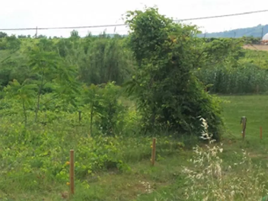 Immagine 12 di Terreno in vendita  in Contrada Cerreto a Miglianico