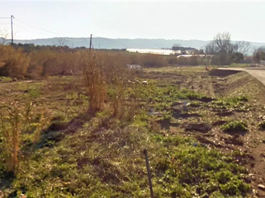 Immagine 15 di Terreno in vendita  in Contrada Cerreto a Miglianico