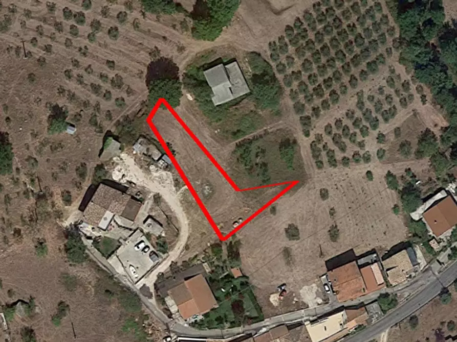 Immagine 1 di Terreno in vendita  in Loc. Dodici Marie, N. snc a Alatri