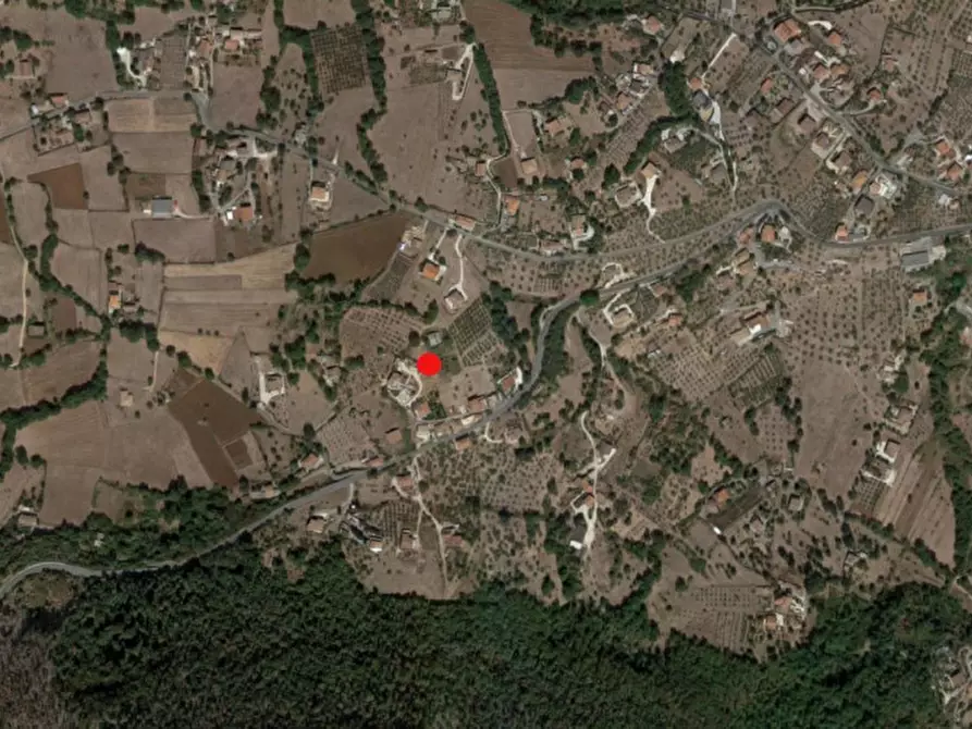 Immagine 2 di Terreno in vendita  in Loc. Dodici Marie, N. snc a Alatri