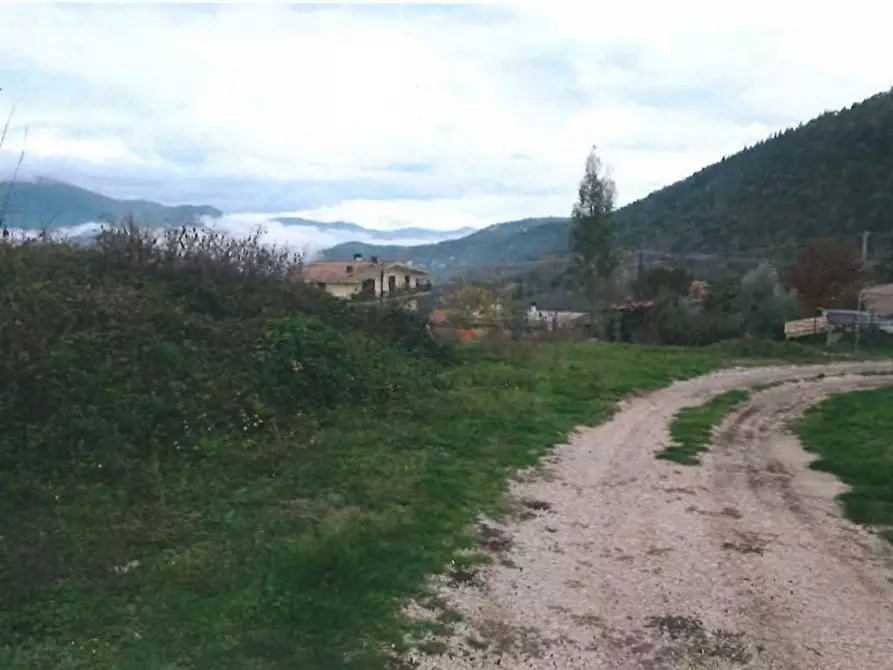 Immagine 3 di Terreno in vendita  in Loc. Dodici Marie, N. snc a Alatri