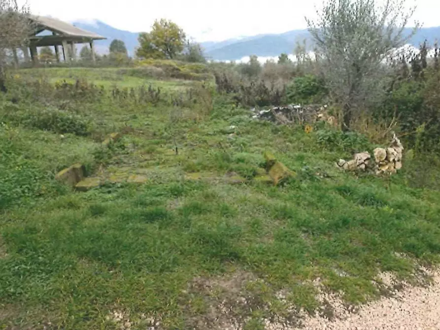 Immagine 5 di Terreno in vendita  in Loc. Dodici Marie, N. snc a Alatri