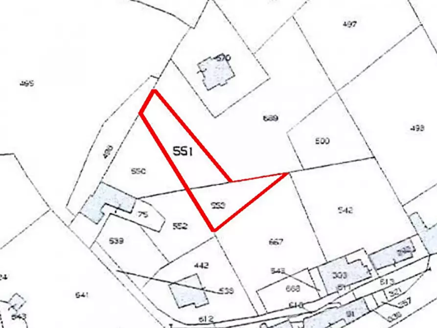 Immagine 7 di Terreno in vendita  in Loc. Dodici Marie, N. snc a Alatri