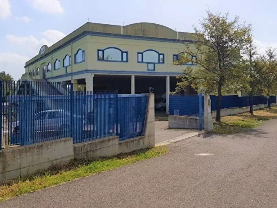 Immagine 15 di Negozio in vendita  in Località Cracaxia a San Gavino Monreale