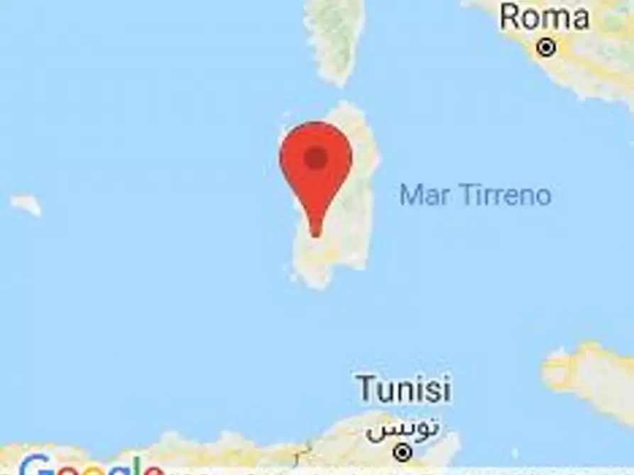 Immagine 23 di Negozio in vendita  in Località Cracaxia a San Gavino Monreale