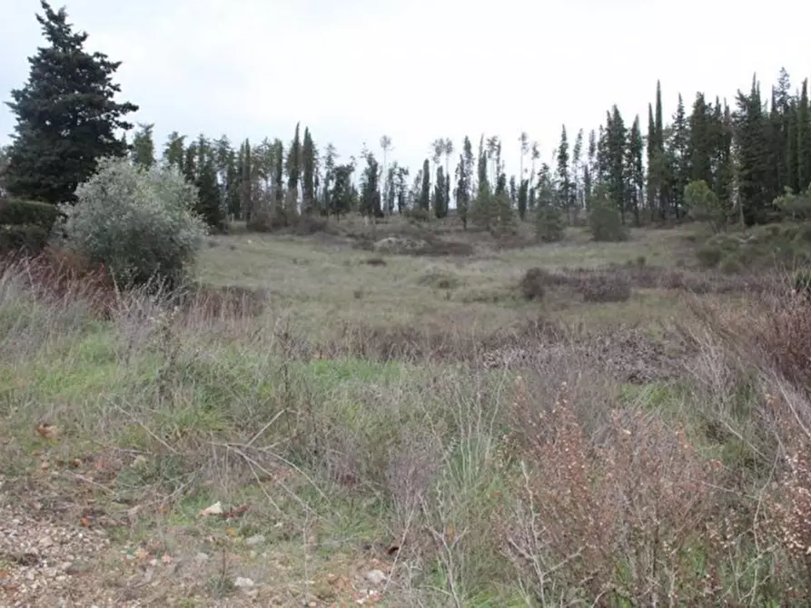 Immagine 22 di Terreno in vendita  in Croce Fiorentina a Castellina In Chianti