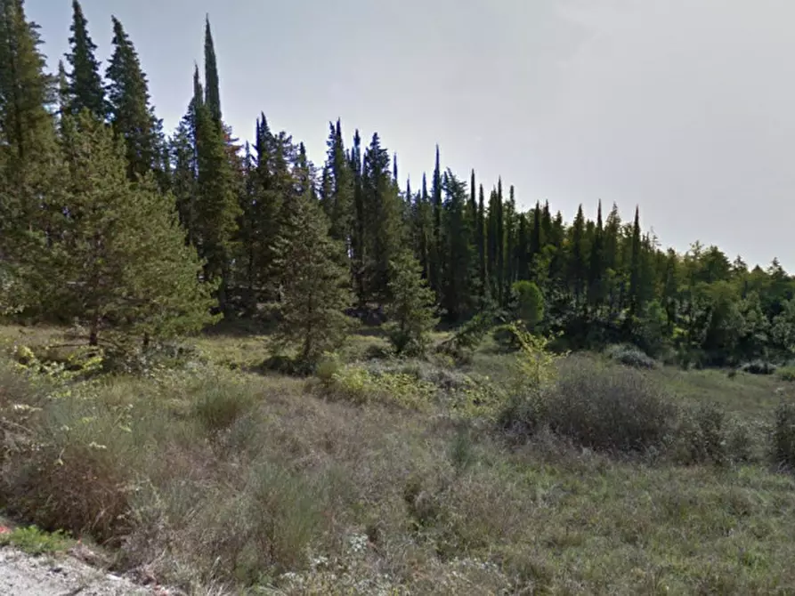 Immagine 4 di Terreno in vendita  in Croce Fiorentina a Castellina In Chianti