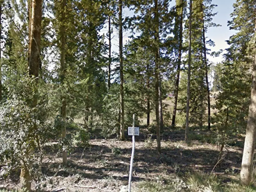 Immagine 7 di Terreno in vendita  in Croce Fiorentina a Castellina In Chianti