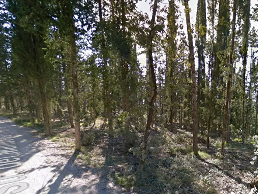 Immagine 8 di Terreno in vendita  in Croce Fiorentina a Castellina In Chianti