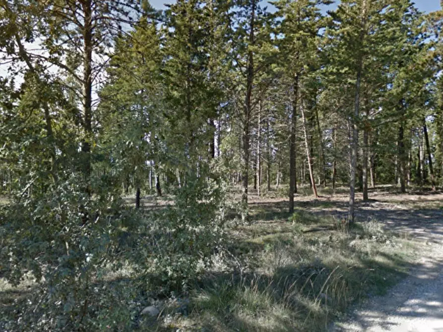 Immagine 10 di Terreno in vendita  in Croce Fiorentina a Castellina In Chianti