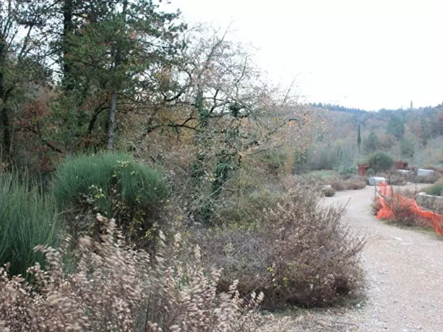 Immagine 13 di Terreno in vendita  in Croce Fiorentina a Castellina In Chianti