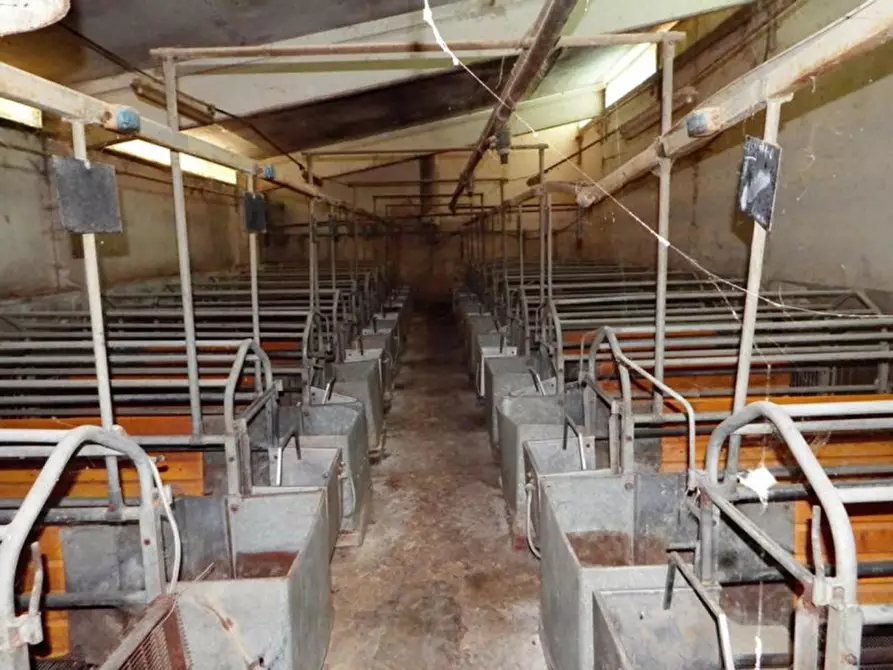 Immagine 21 di Capannone industriale in vendita  in Località Orbai a Dolianova